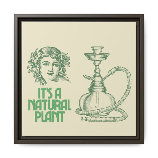 Bohemian Framed Matte Canvas Art - "It's A Natural Plant"